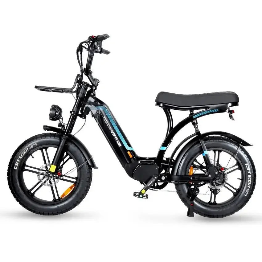 Electric mountain bike 750w oil brake fat tire snowmobile