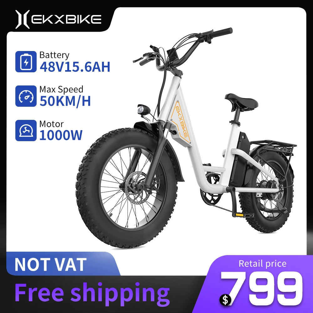 Adult Electric Bike MotorRemovable Battery