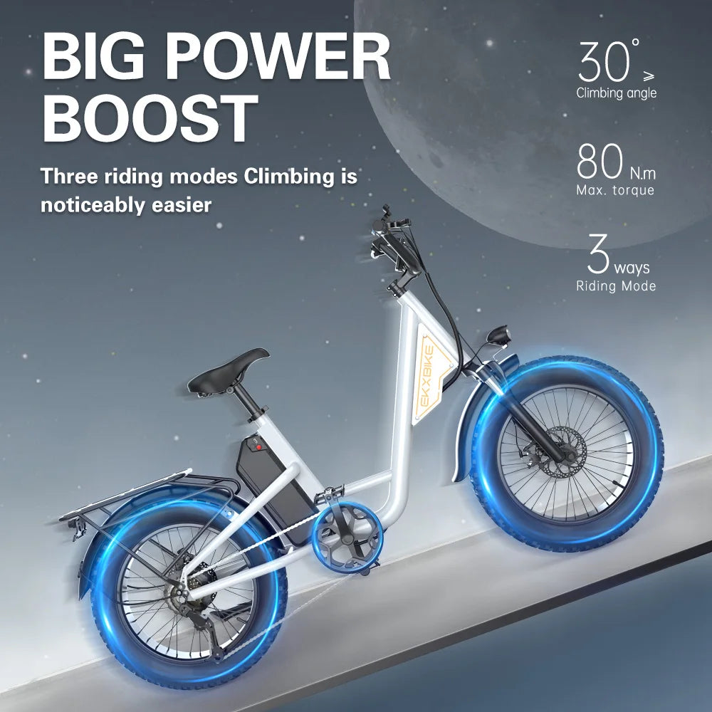 Adult Electric Bike MotorRemovable Battery