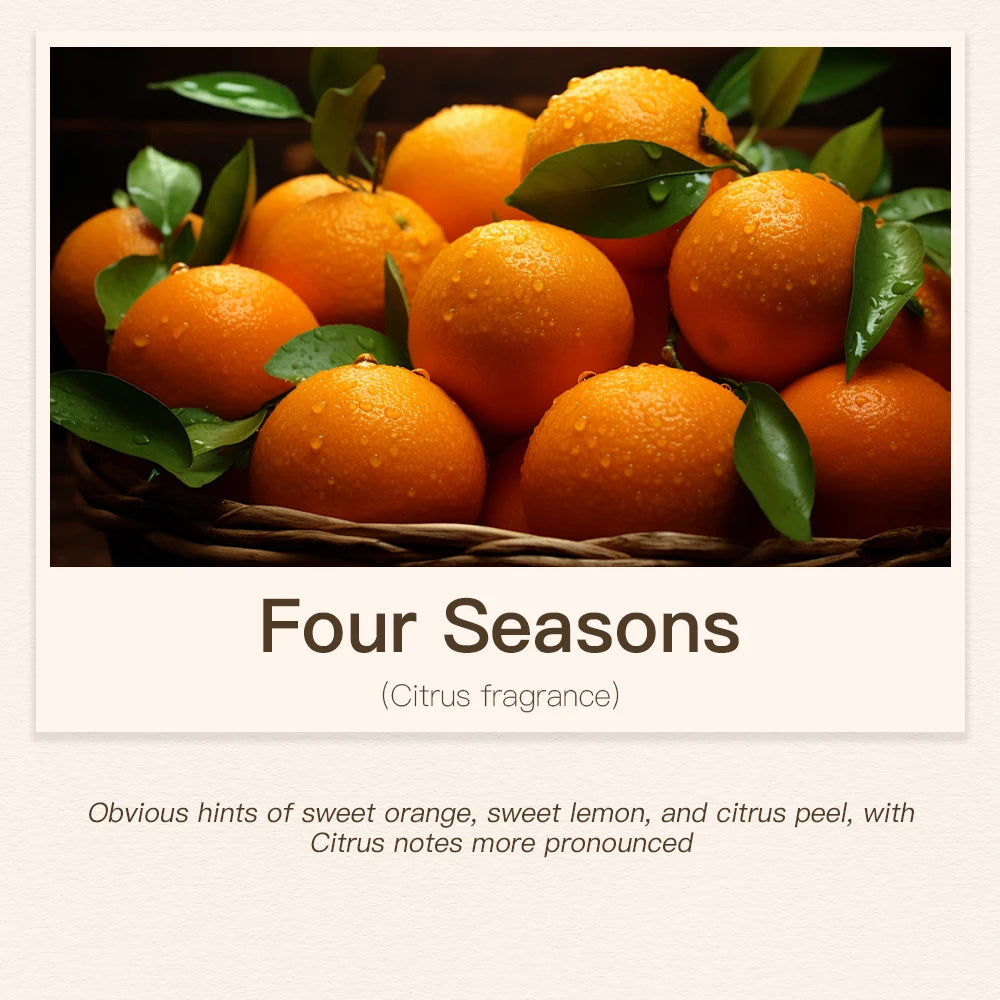 Oil Diffuser Essential Oils Perfume