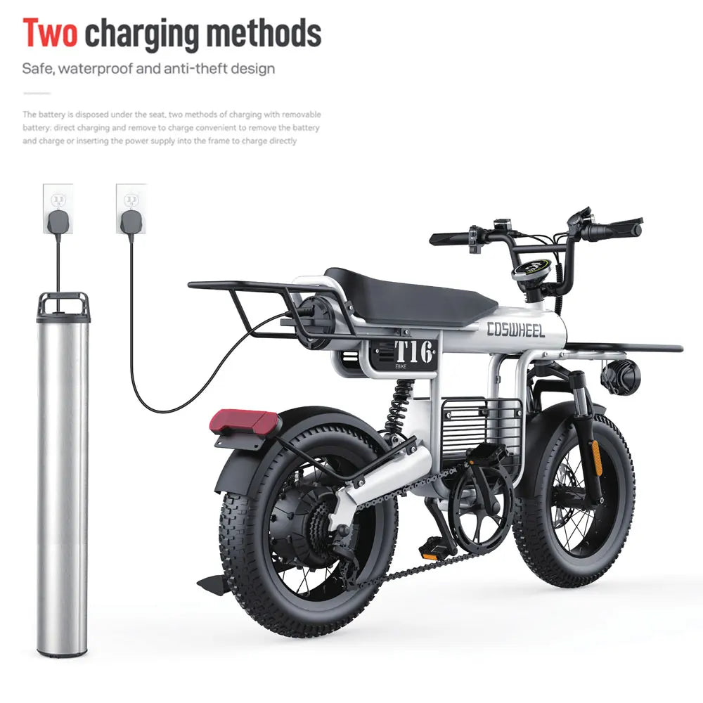 Electric Bike  Adult Mountain