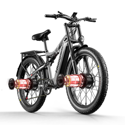 Adult Electric Mountain Bike Dual Motor