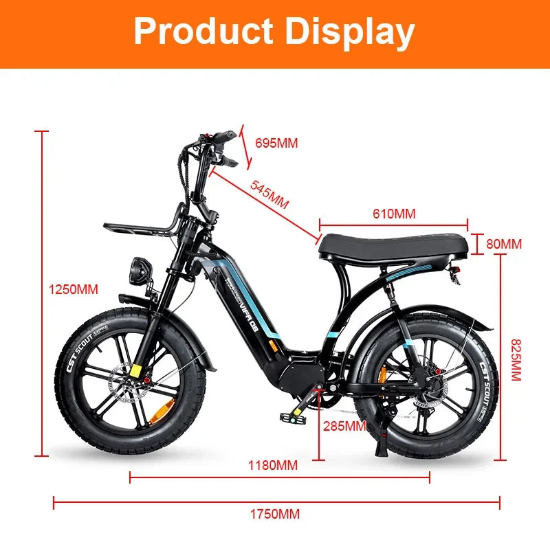 Electric mountain bike 750w oil brake fat tire snowmobile