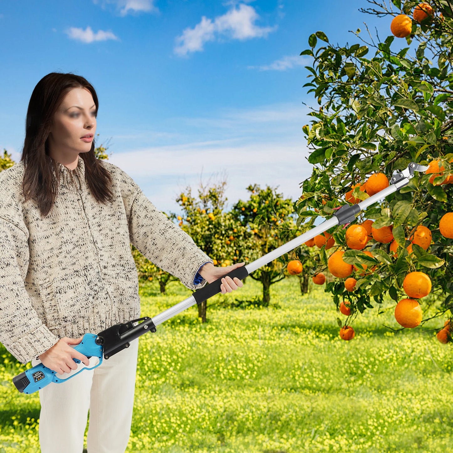 Cordless Electric High Branch Pruning Shears Set