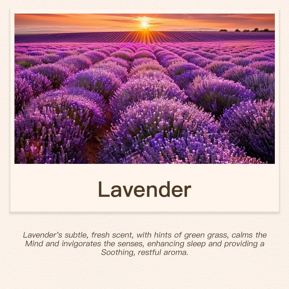 Oil Diffuser Essential Oils Perfume