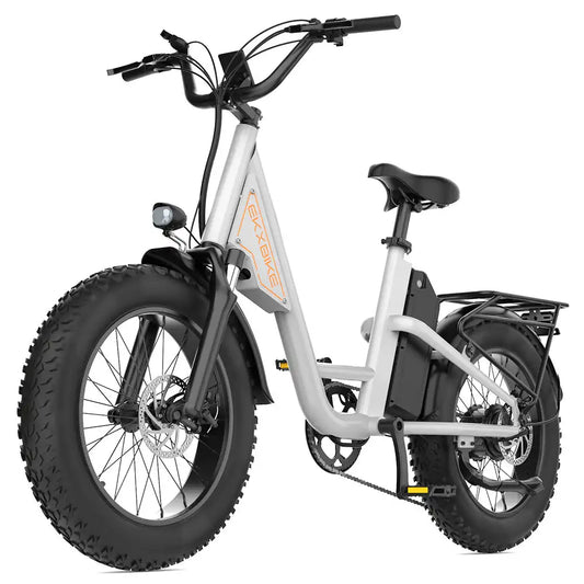 Adult Electric Bike  MotorRemovable Battery