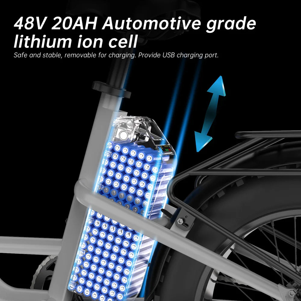 Adult Electric Bike  MotorRemovable Battery