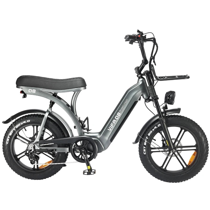 Electric mountain bike 750w oil brake fat tire snowmobile